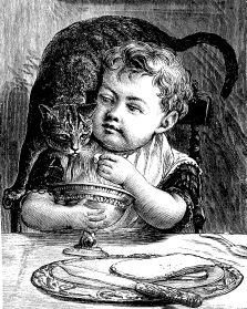 child feeding cat
