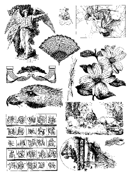 plate 5 images